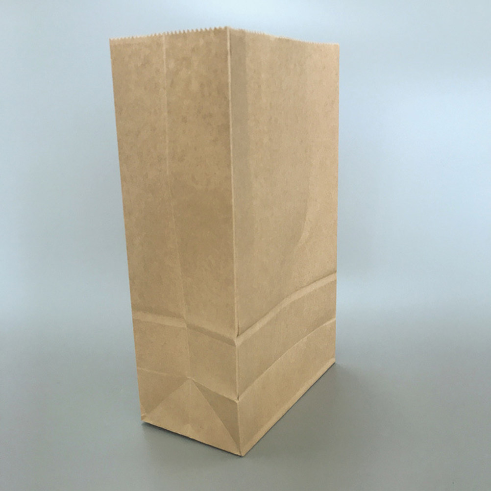 100pcs Kantong Kertas Kraft Uk - Snacks Food Usa ulasan dan harga